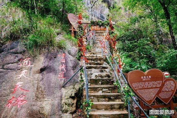 上海市|连山冷门景区，开发时间短更是知之甚少，野花怒放云雾缭绕