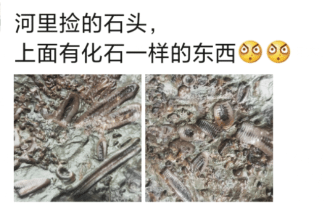 acgn漫评|“河里捡的石头，样子像极了化石...”感觉评论在骗我！
