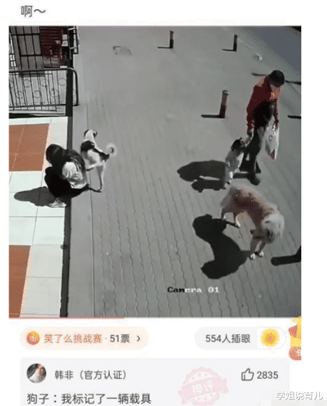 学姐说育儿|大数据误我啊,老夫一身正气为何一直给我推送这些东西,哪里出了问题?