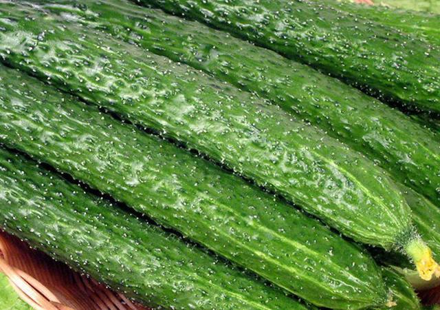 |马思纯20天减重20斤，得知方法后，网友：减肥真的太不容易了