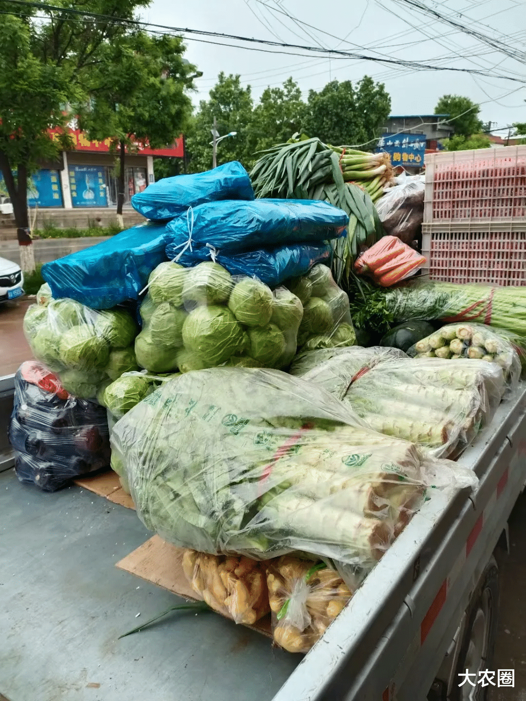 大农圈 益农社｜让每户年增收7500元——孙立学和他的益农信息社