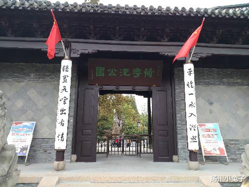 扬州小兔子|这个夏天，你注定寂寞