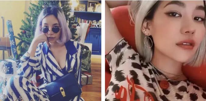 黑莲花|为什么“黑莲花”越来越受大家欢迎？