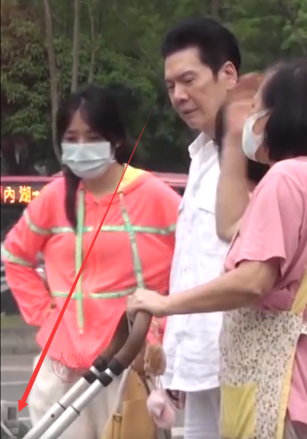 向华强|向华强抱孙女上街，小心谨慎路都不敢大走！网友：真是一物降一物