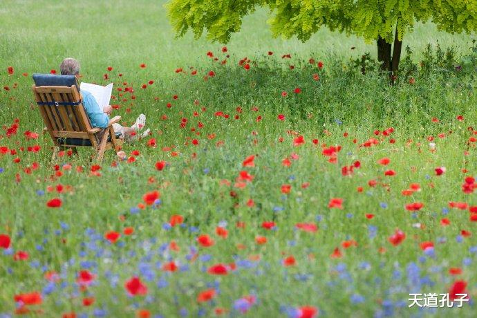 天道孔子 他们，都在努力地活着