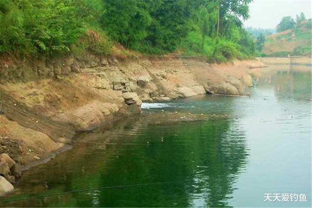 |夏季钓鱼，选择钓点的三大方向，气温攀升，鱼儿在这些地方扎堆！