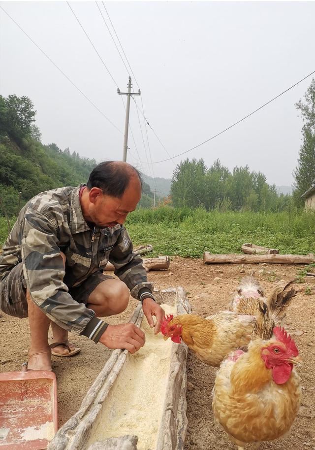 于新|百万粉丝“守山大叔”于新伟：无意间爆红后该何去何从