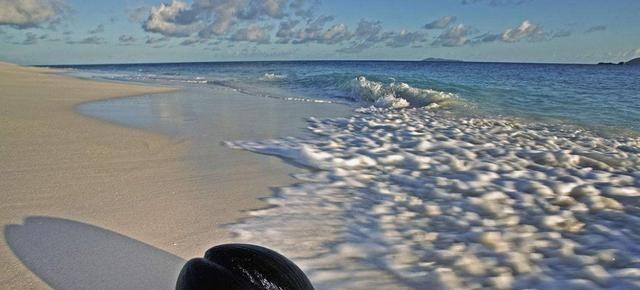 电鳗 大海为何会发生“涨潮、退潮”的现象？与月亮有关？看完长知识了