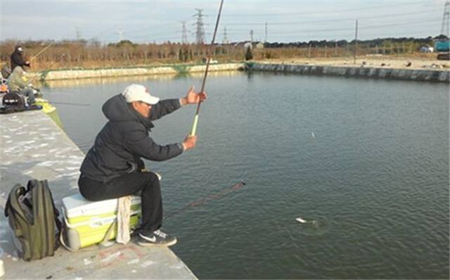 浮游生物|识水色辨鱼情，能不能下竿钓鱼，分清楚水色就可以了