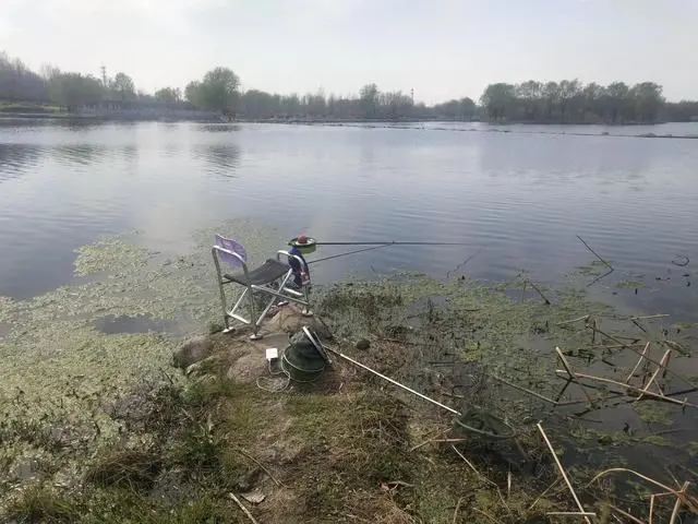 饵料|到了陌生的水域，学会了这三步，一半的渔获就没跑了