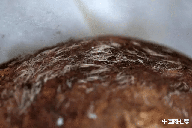 白垩纪 庞贝古城发现有史以来保存最完好的人类遗骸，头发清晰可见