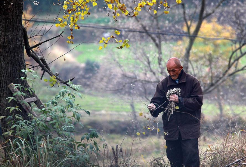 城外五十九 拾荒老人辛苦攒下21万，最后却带到火葬场烧掉，这到底是为何？