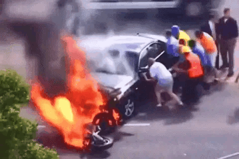 微风执杯煮酒论自然 生活多艰，自有爱同行，催人泪下的十五个感人瞬间