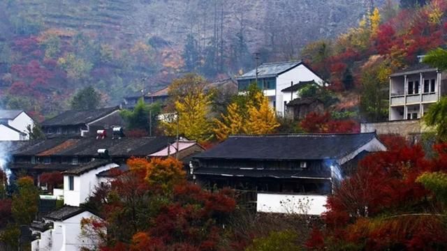 威海|寻觅醉人避世桃源栖霞坑古道，漫山红枫，层林尽染单日线