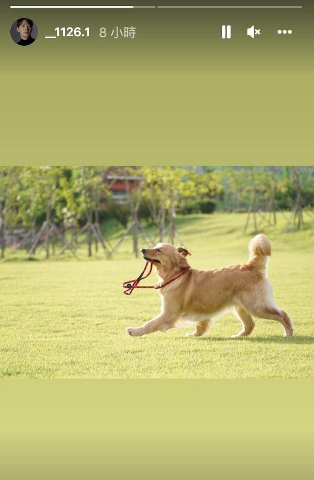 宋智雅|《单身》宋智雅驭男术解析！成功牵手宋的是他，IG动态宣示主权？