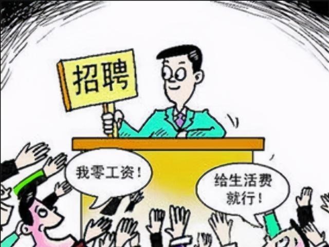 招聘|学生应聘被嫌弃的理由是:公司不会招聘,“三无”家庭的本科生