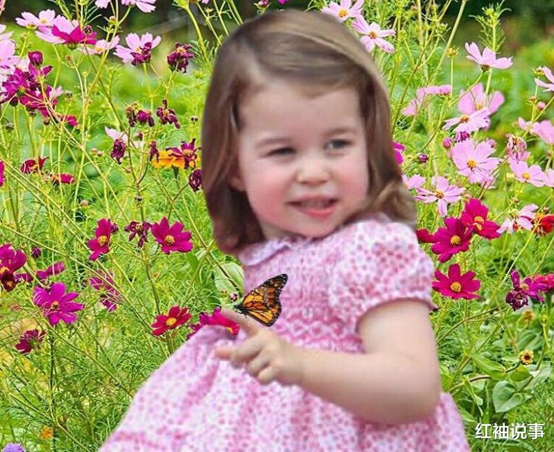 蝴蝶|6岁夏洛特近照惊艳，手捧蝴蝶充满童心，低头垂眸时像极了女王
