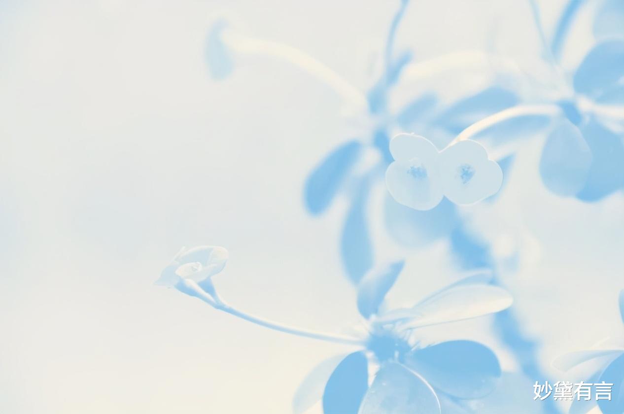 妙黛有言|人到中年，不要在朋友圈显摆这些