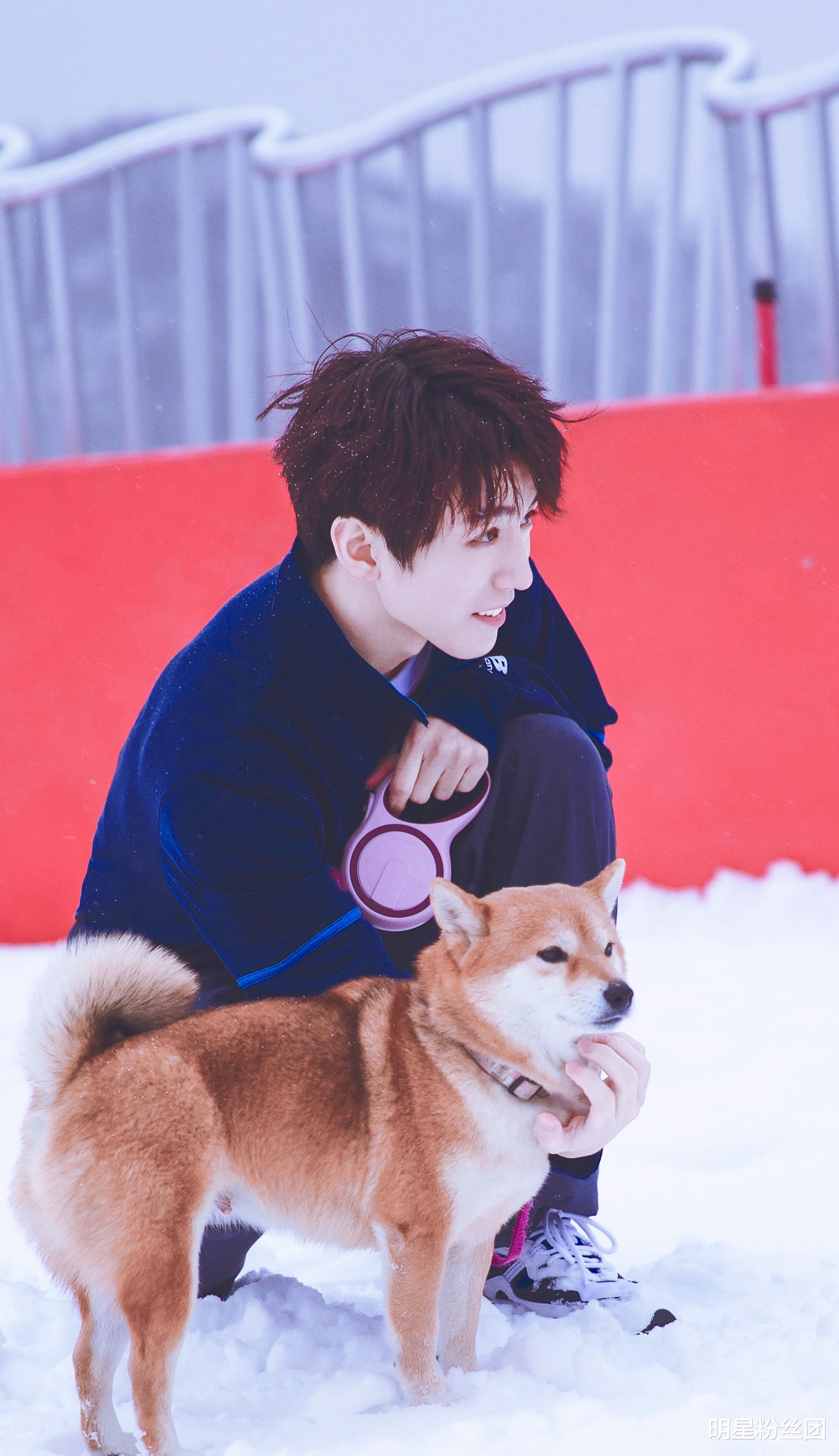 王俊凯|王俊凯恋情疑似曝光，女方是其他明星助理，甜蜜野餐气氛暧昧