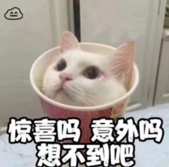 林志颖|九世修来的容颜，也换不回他一颗脑子