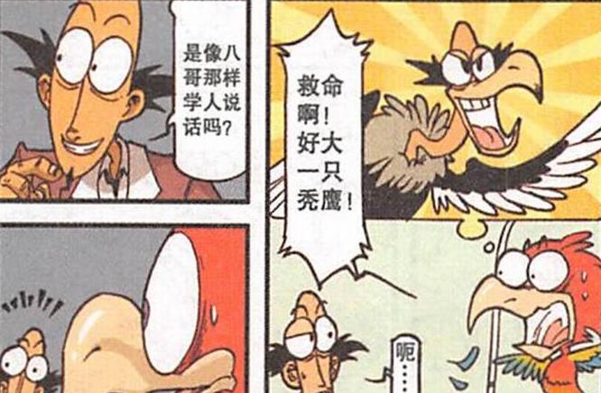 阿星|阿星“利欲熏心”占为己有，老古“威逼利诱”，神鸟“花言巧语”