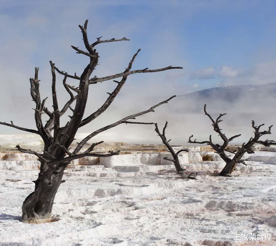 老明星|八字十神与职业生涯关系