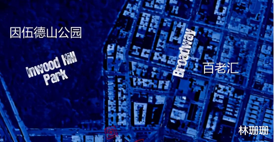 群星|动物广翅鲎：专吃海洋“浮尸”，4亿年前最先登陆地面的动物