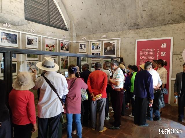 兜拾365 中国第一大的民间博物馆，一头大肥猪养了10多年，到底怎么回事？