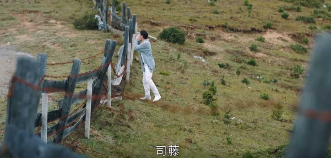 司藤|《司藤》男女主互动镜头被删了这么多？难怪配角戏份会遭网友吐槽