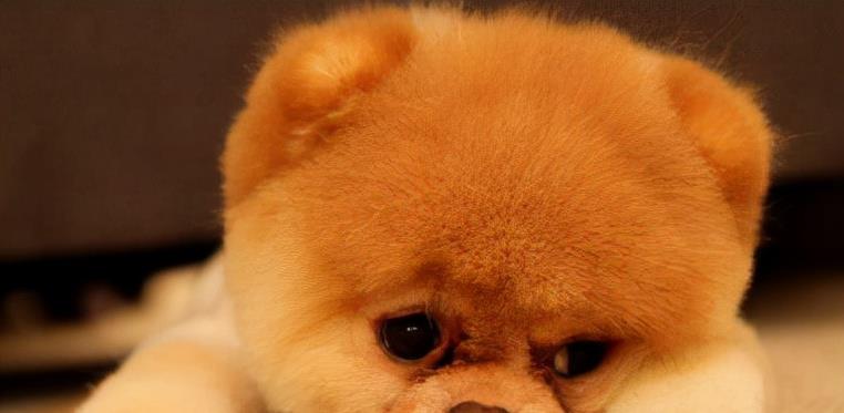  人类婴儿为了活下来，策划了一场“阴谋”，正在悄悄利用人类