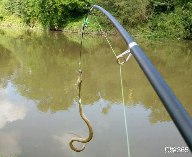 海南|海南一男子野钓的罕见经历，一次钓获两条鱼，看清后扔下鱼竿就跑