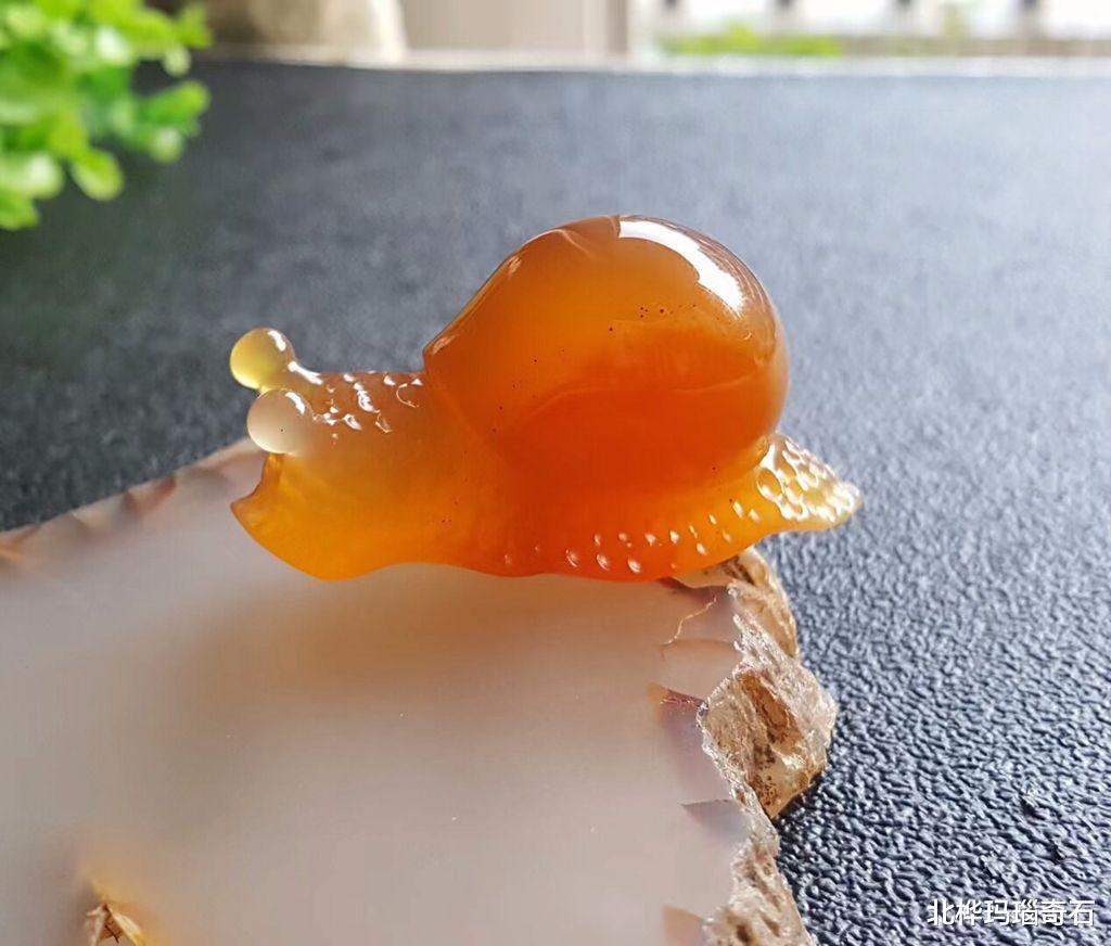 玛瑙|捡石头是每年都不变的心愿