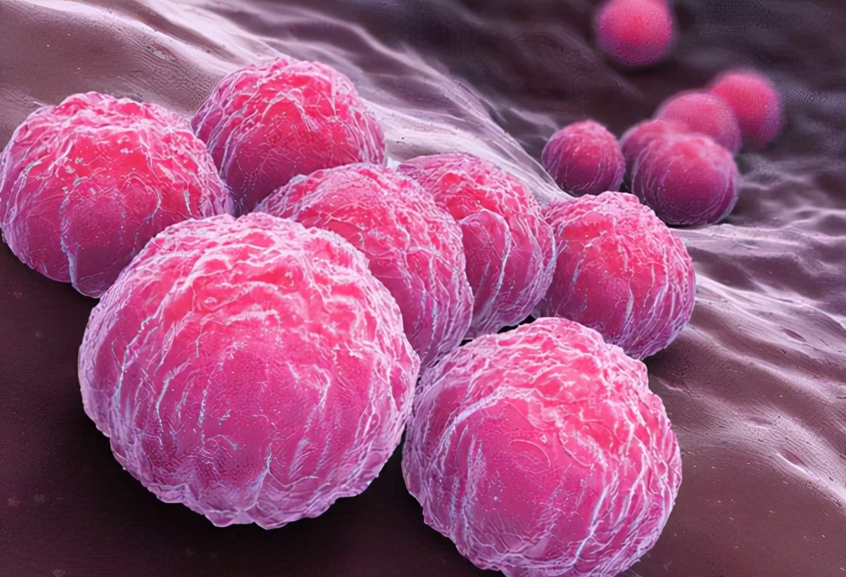 梦玉游戏|00后小情侣双双查出HPV，当场分手，医生：早知如此，3件事要做好来