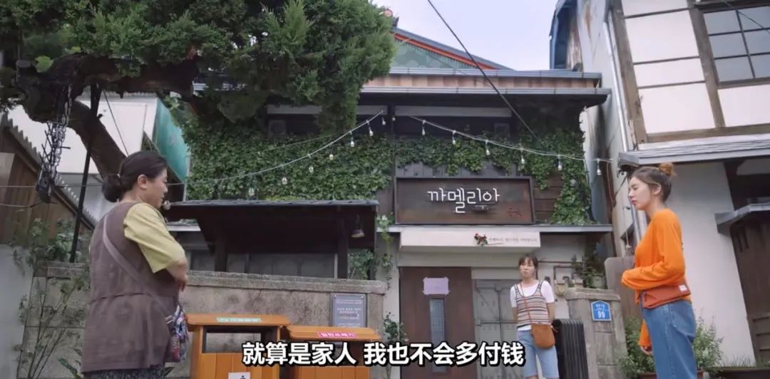 豆瓣|豆瓣8.4！绝美治愈小甜剧，一秒不舍得快进