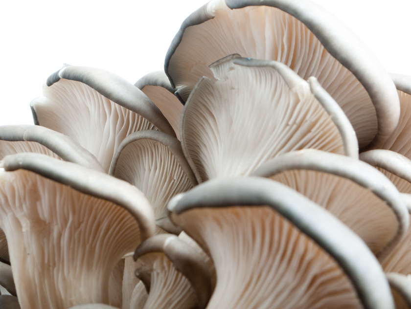 痛风|痛风“黑名单”被曝光,菠菜不在榜,首位很多人天天吃,太无知!