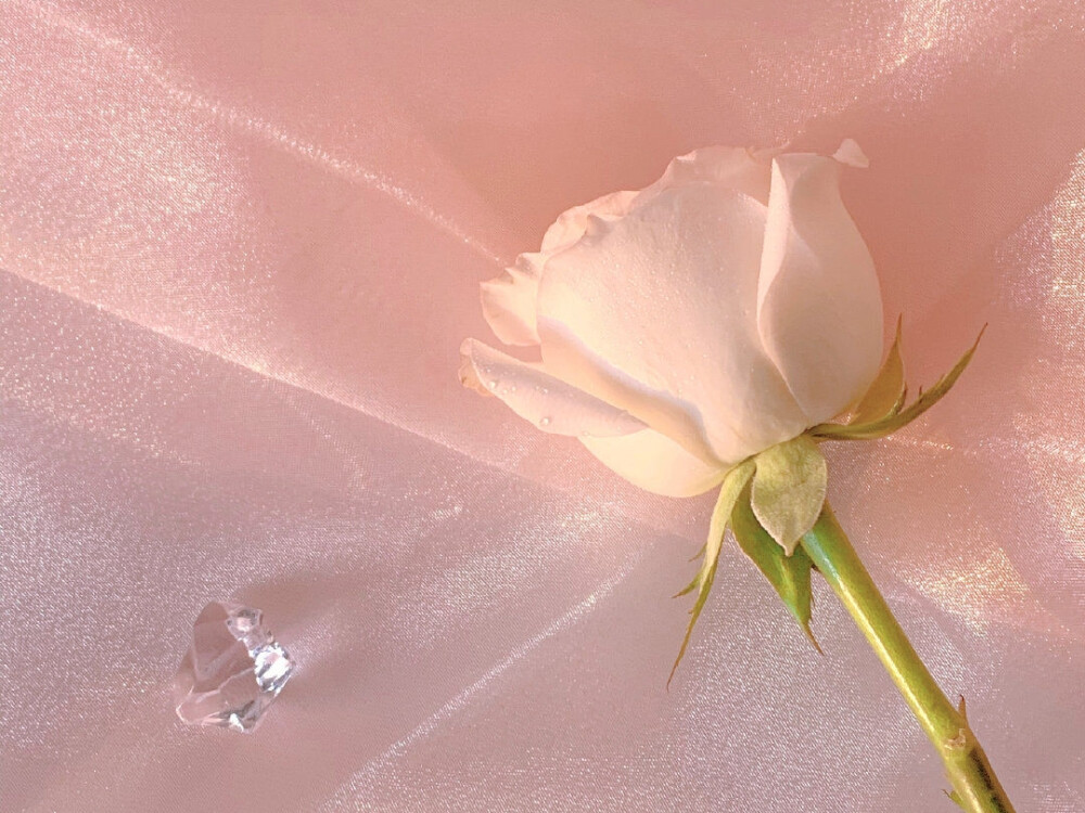 月亮 一些温柔到让你惊叹的神仙句子