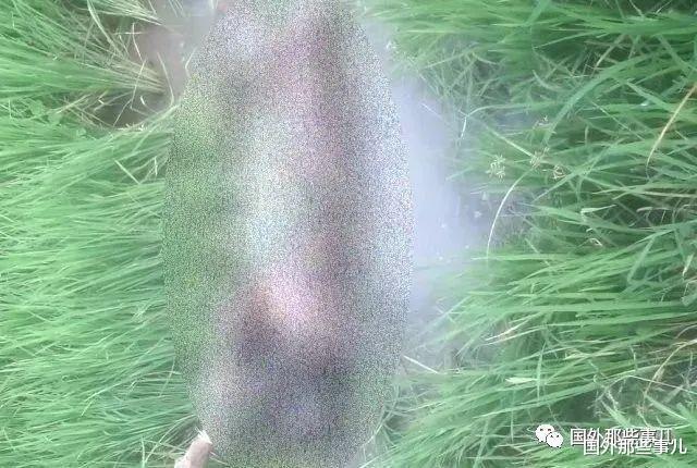 桥下发现一具女性尸体,没穿衣服身上都是伤痕