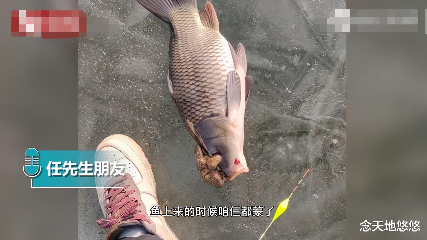 辽宁省|辽宁男子钓上“金蟾抱鲤”：钓鱼十多年第一次遇见，最后放生了
