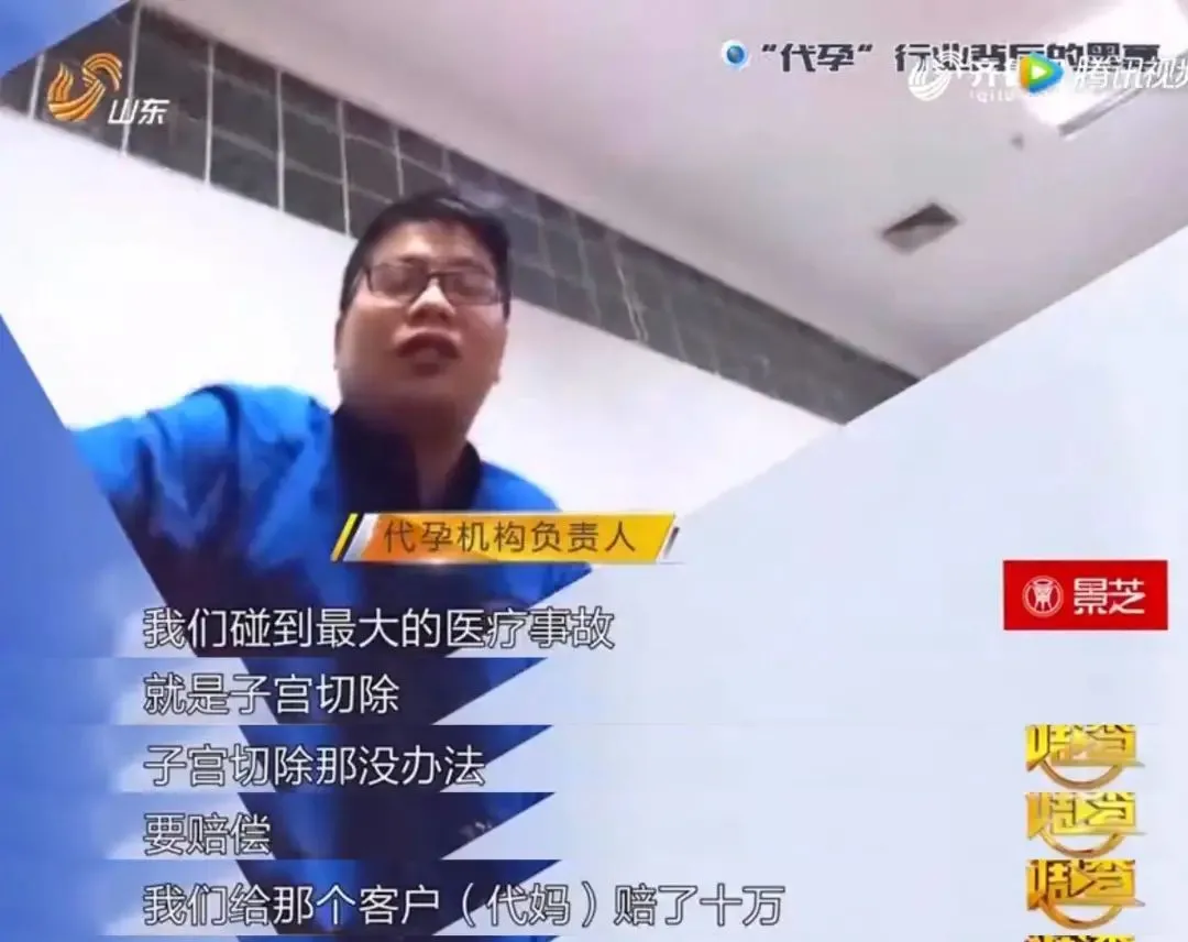 郑爽|郑爽代孕弃养，被全网封杀后新料曝光：她不是蠢，是真恶毒！
