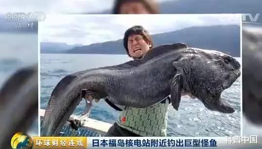 基因突变 日本变异双头龟引发关注！以后会不会还有什么\怪物\出现？你最需要知道的是…