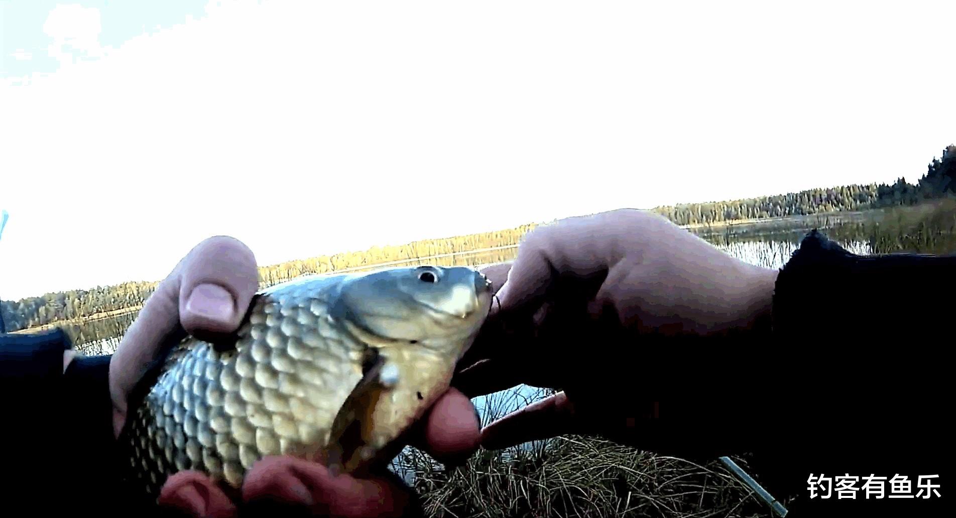 太原|野钓钓鱼,认清几种中鱼率超高的漂相动作,避免错失垂钓先机