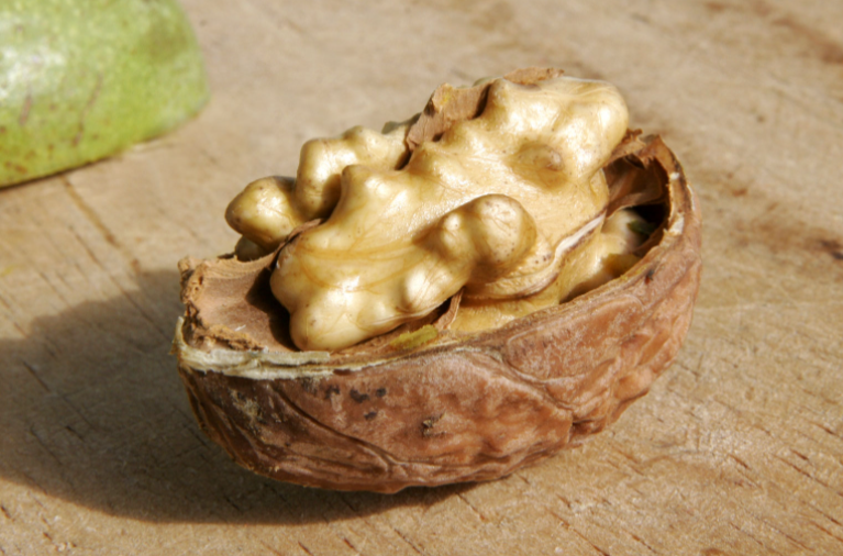 菊花|多吃核桃能长寿？调查9万人，跟踪20年，确定核桃最佳用量