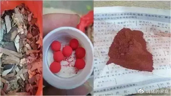 江西31岁夫妻洗澡身亡,留下8个亲生孩子!而他们背后,藏着更大悲剧……
