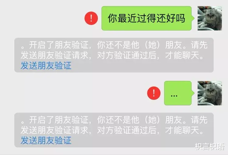 枳言枳语|不如，我们就到这里吧。