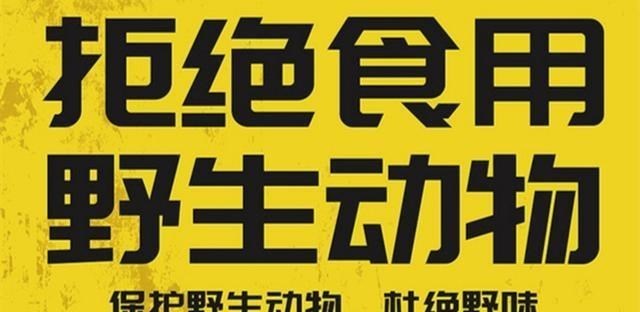 湖北群众长江边散步遇“怪鱼”，80厘米长30斤重，网友：不能猎捕