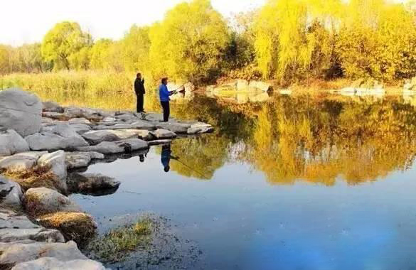 范振钰|这五种不适宜打窝的水域,遇到了千万别浪费窝料了