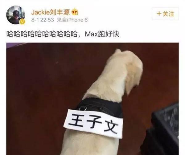 王子文|“内地张柏芝”王子文的另类生育史，和她不敢公开的3个男人