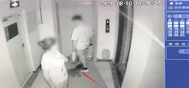 交易 沈阳一大妈遛狗不拴绳，持停车牌假打劝阻者：敢还手我就讹你