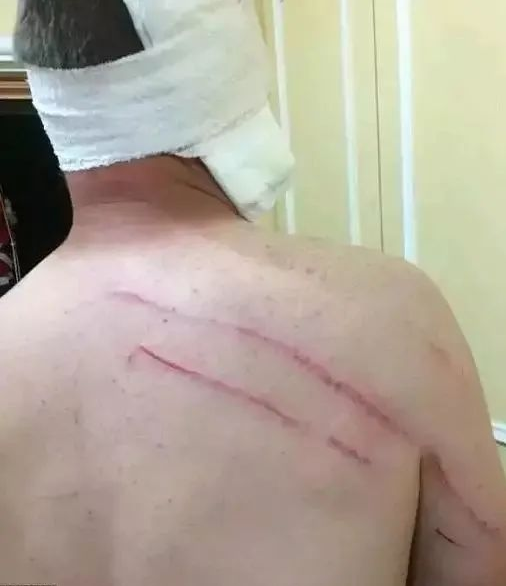 袋鼠 别秀了，袋鼠才是动物界的肌霸