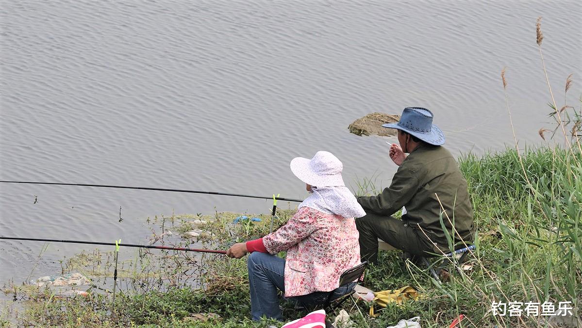 饵料|为什么在同一个地方钓鱼，每次的渔获量不一样？原来有这些原因